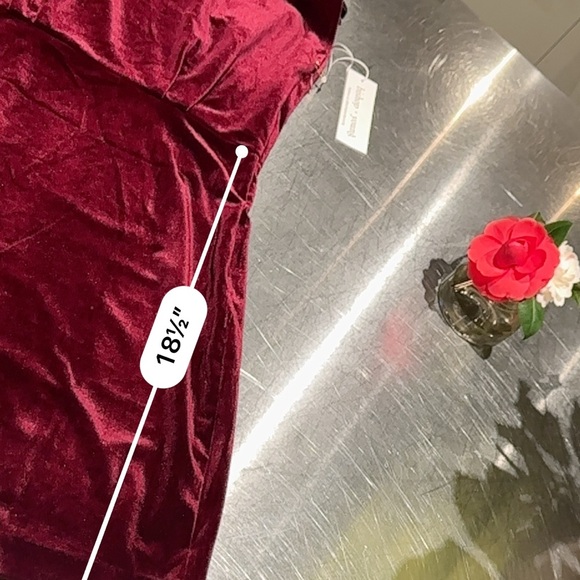 Bishop & Young Hayden red/burgundy Velvet Dress - Picture 3 of 9